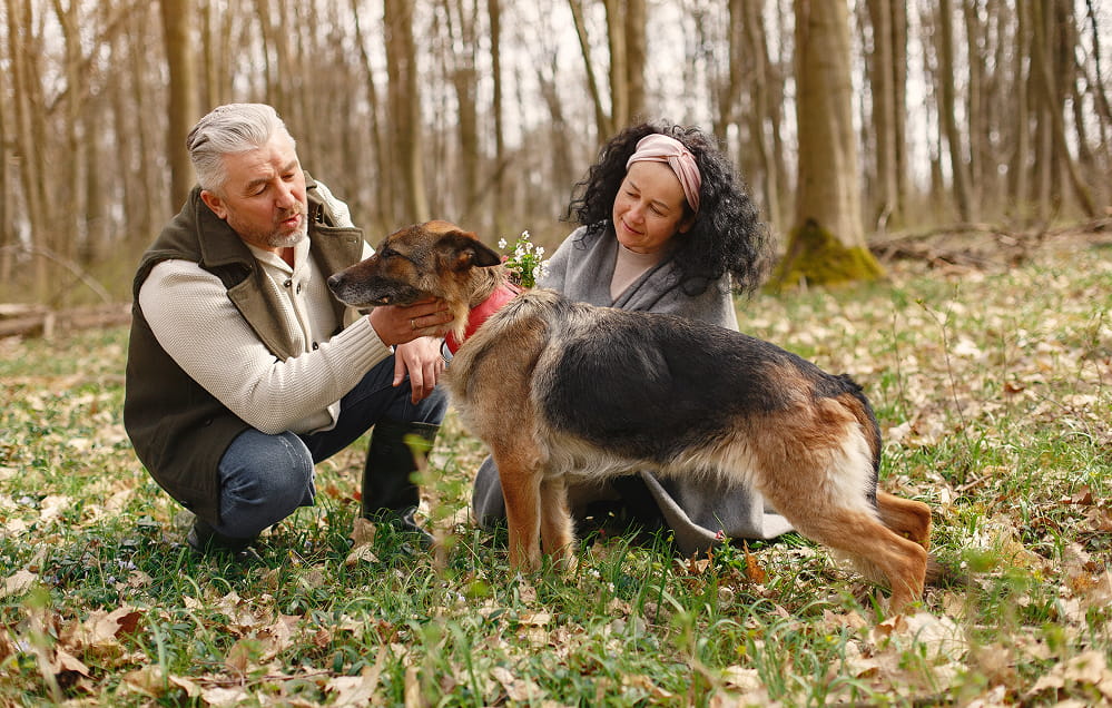 Ein Mann und eine Frau knien auf einer Waldlichtung und streicheln einen Deutschen Schäferhund, der zwischen ihnen auf dem mit Laub bedeckten Gras steht.