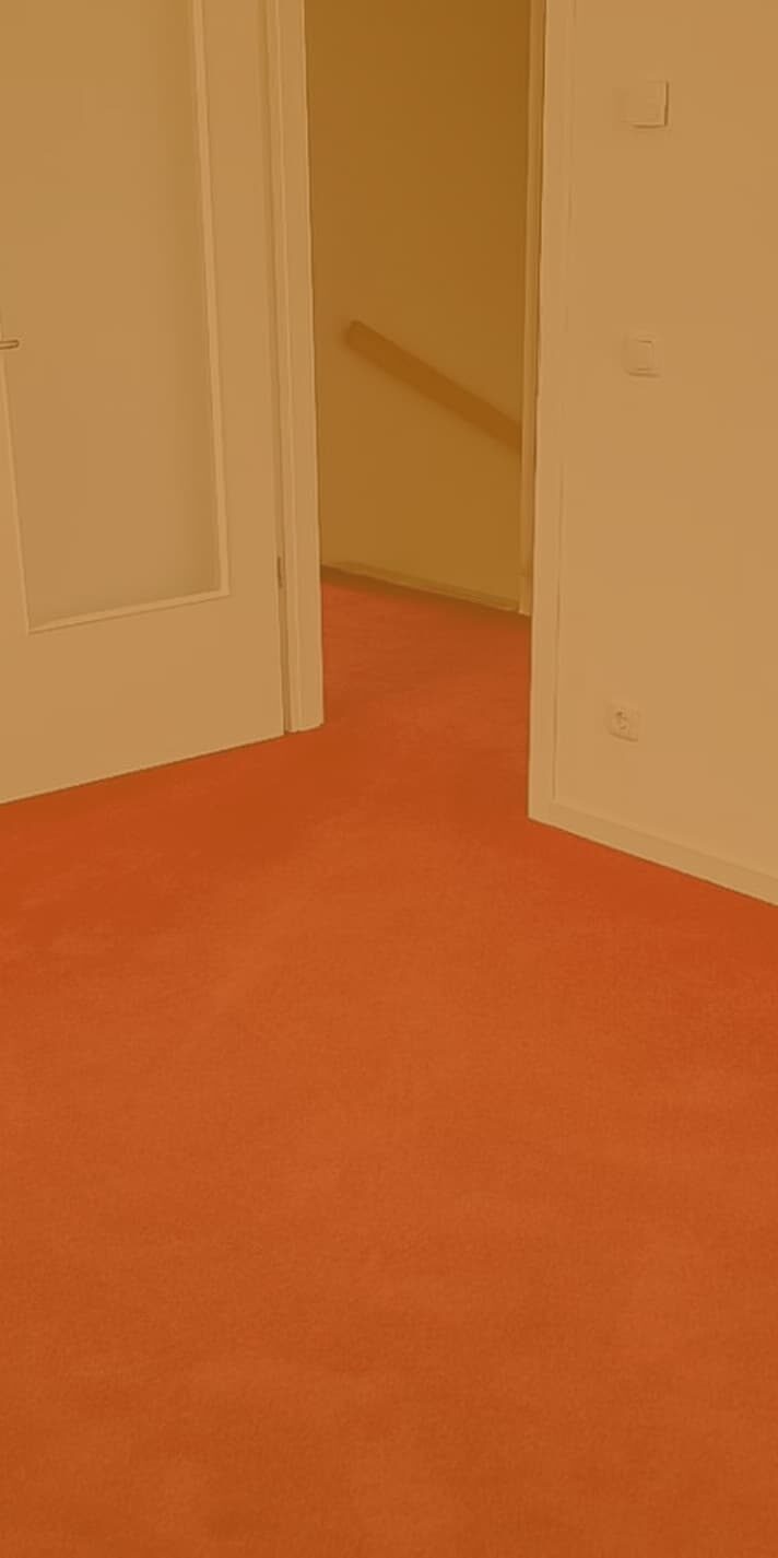 teppich rot